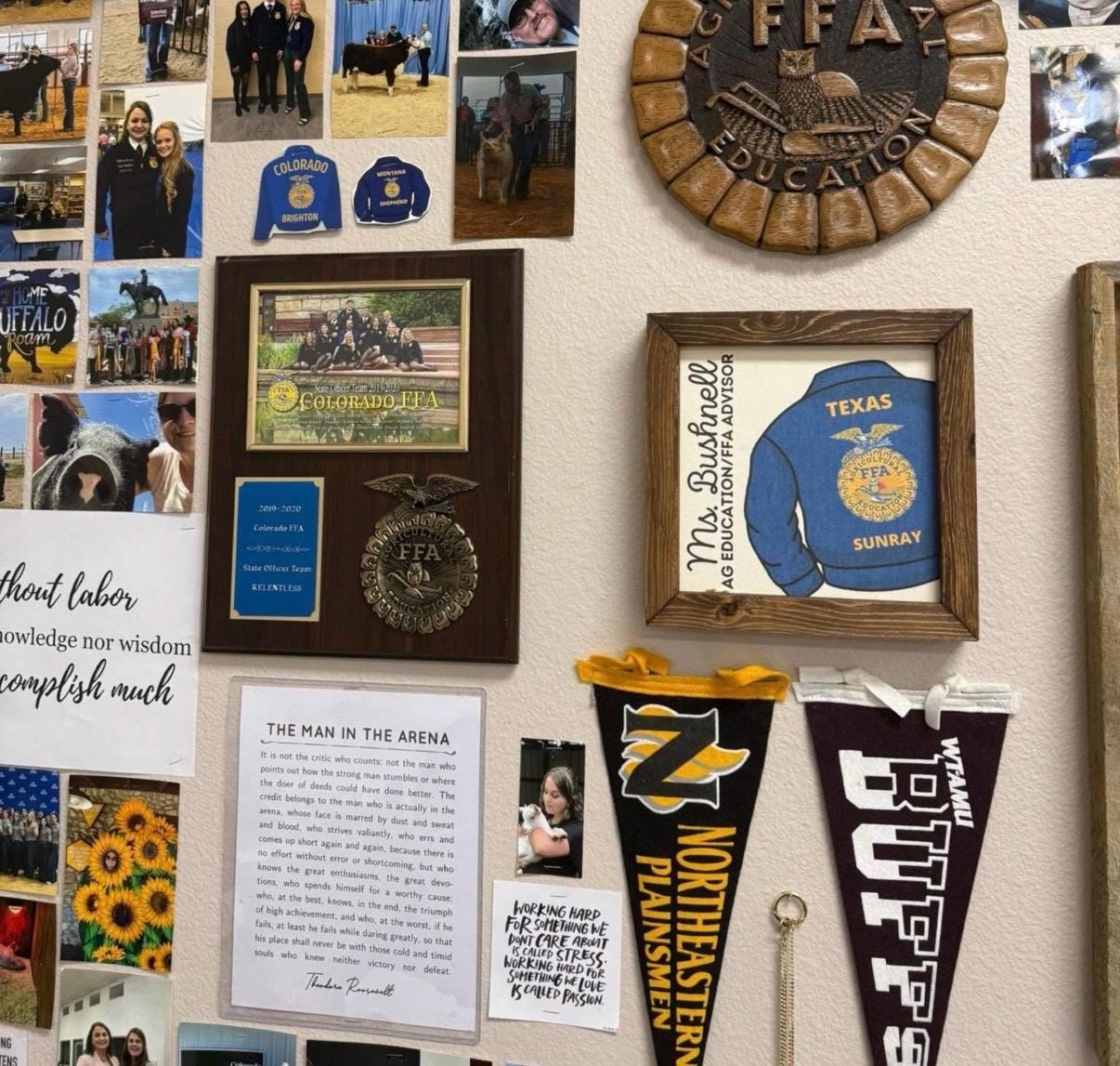 FFA SENIOR Sign Set (of 6) | buy the set & SAVE | Reclaimed Wood Frame, Canvas Print Blue Jacket Official Dress, Affinity Licensed
